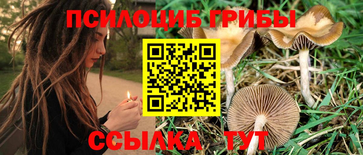 Дедовск  Псилоцибиновые грибы прущие грибы  Вход с VPN 