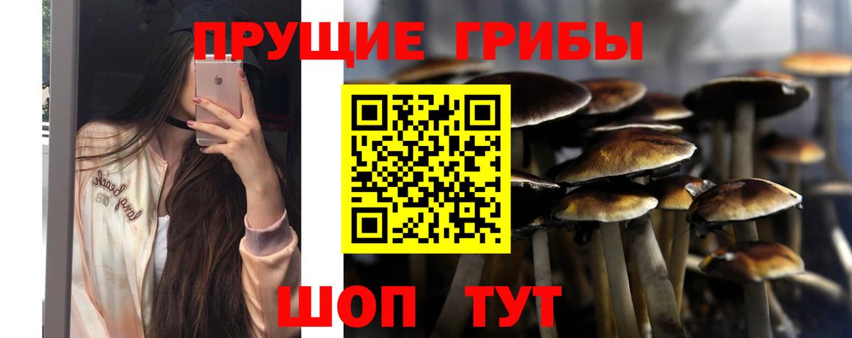 Галлюциногенные грибы прущие грибы Дедовск
